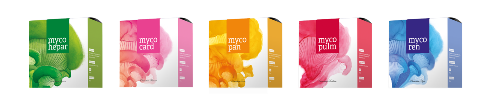 Mycosynergy