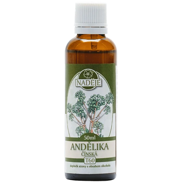 Andělika čínská