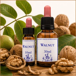 Bachova květová esence Walnut - Ořech královský