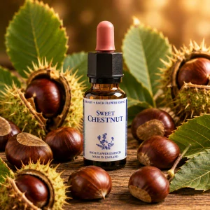 Sweet Chestnut – Bachova květová esence