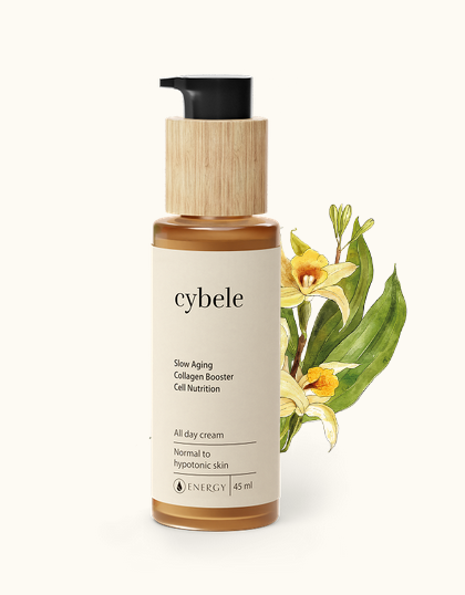 CYBELE