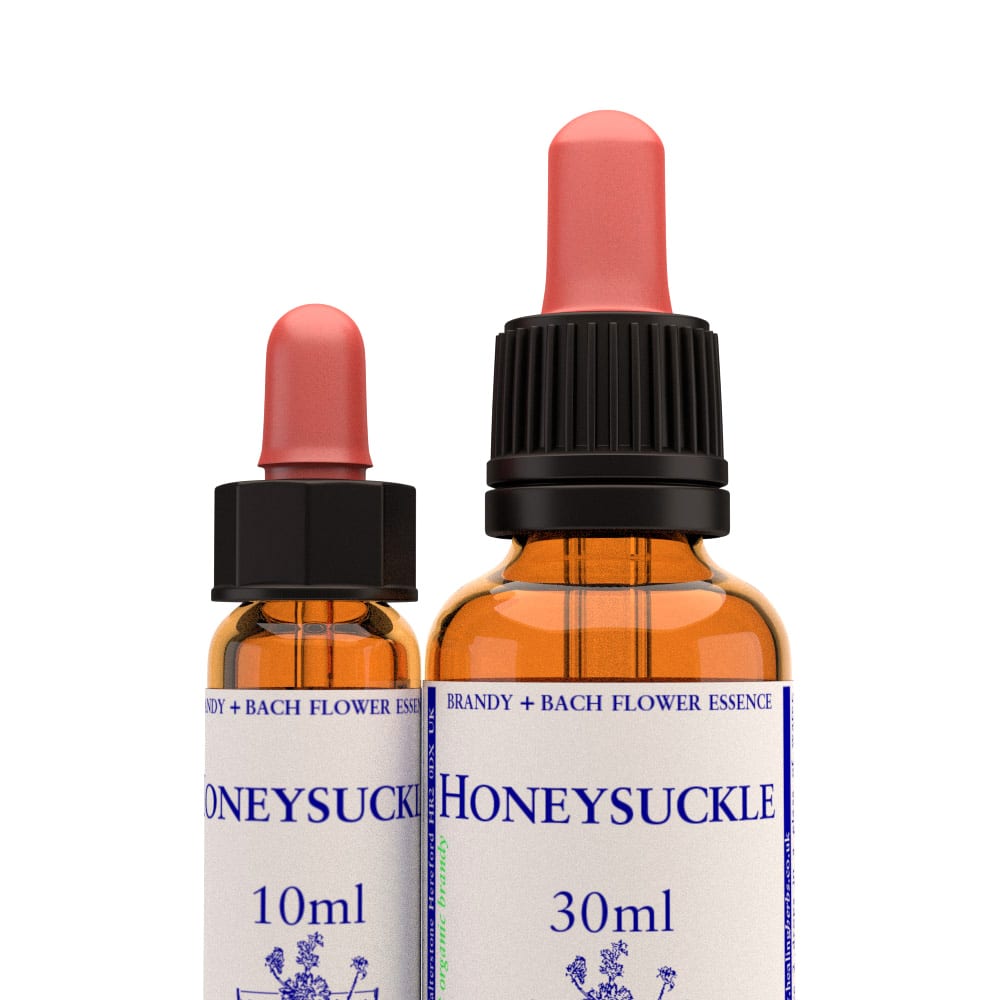 Bachova květová esence Honeysuckle - Zimolez kozí list