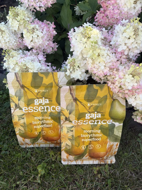 Energy Gaja Essence – Ovesná kaše hruška & vanilka 2× 420 g