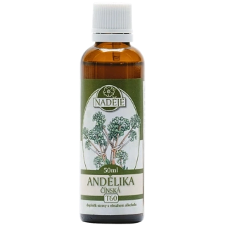 Andělika čínská