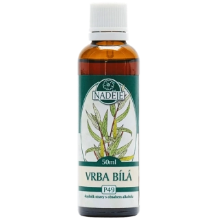 Vrba bílá (pupeny)