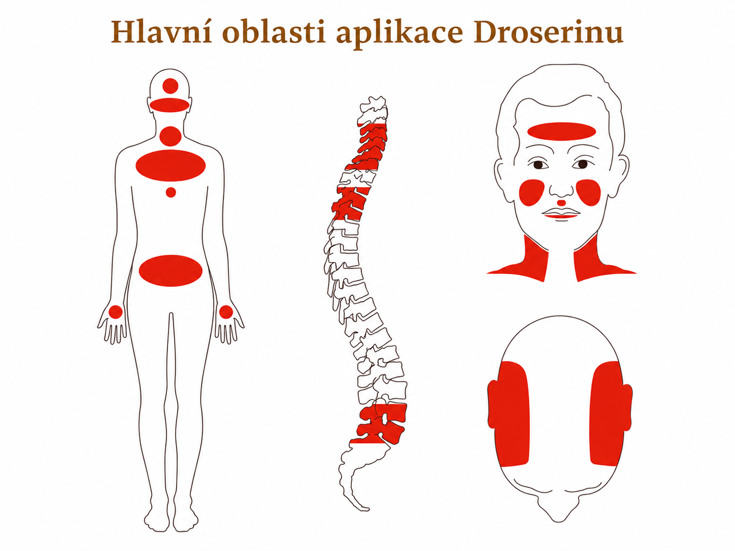 Hlavní oblasti aplikace Droserinu