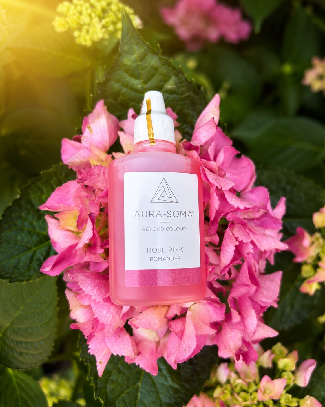 Rose Pink Pomander Aura-Soma pro sebelásku, otevřené srdce a podporu lásky